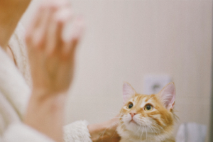 Woman Brushing Her Teeth while Her Cat Watches