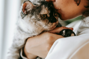 Woman holding her cat against her shoulder, giving her cat a kiss