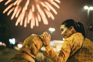 Dog and owner enjoying fireworks