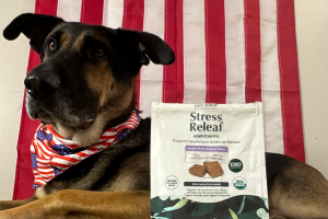 German Shepherd wearing a US flag bandana in front of a US flag. Treat bag in front with Pet Releaf CBD for stress relief