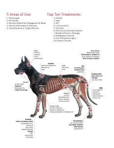 Image of a dog labeling areas on the body where laser therapy can be applied and for what conditions