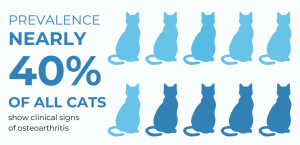 Graphic of prevalence of osteoarthritis in cats: 40% of all cats show signs