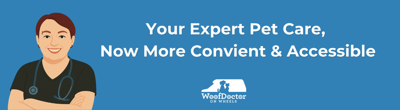 Registered Veterinary Technician Cheryl Miller + Your Expert Pet Care, Now More Convient & Accessible