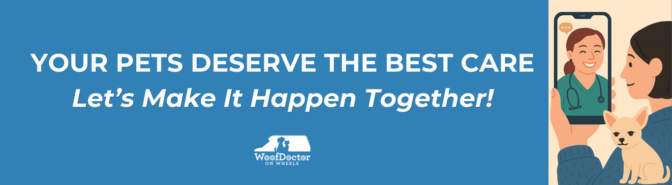 Your pets deserve the best care, let's make it happen together