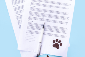 Cat Reading Pet Insurance Policy