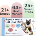 Basepaws Breed + Health Kit Best Cat DNA Test