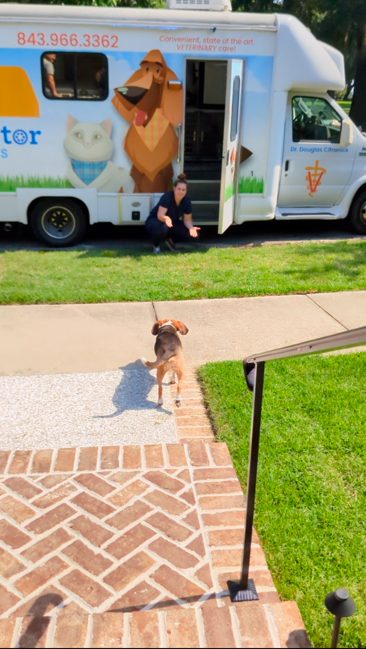 Veterinarian Arrival