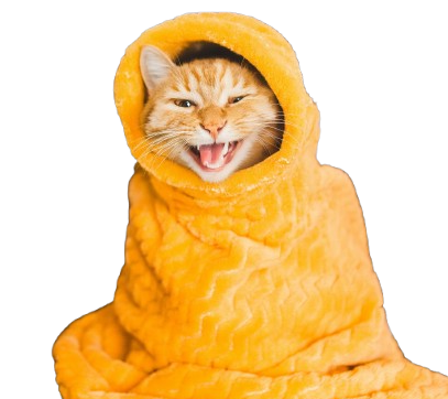 Cat in blanket