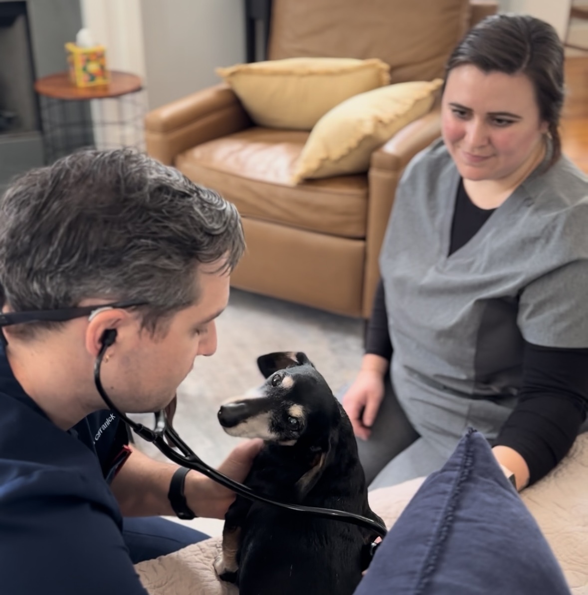 Mobile Veterinary Care 