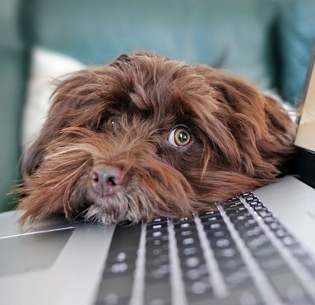 Book Your Appointment