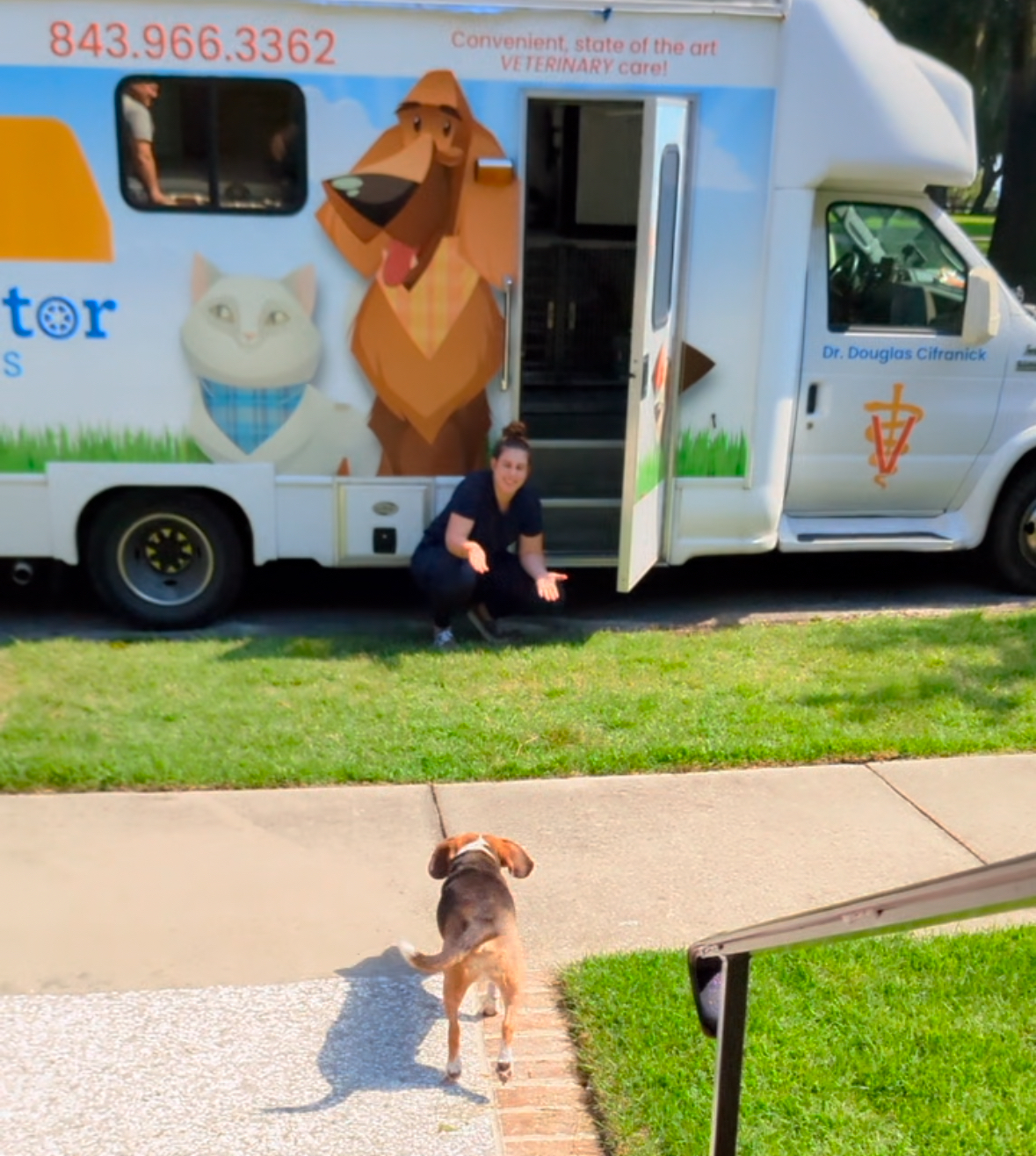 Veterinarian Arrival