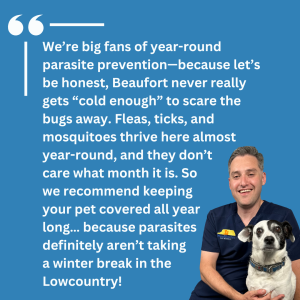 We’re big fans of year-round parasite prevention—because let’s be honest, Beaufort never really gets “cold enough” to scare the bugs away. Fleas, ticks, and mosquitoes thrive here almost year-round, and they don’t care what month it is. So we recommend keeping your pet covered all year long… because parasites definitely aren’t taking a winter break in the
Lowcountry!
