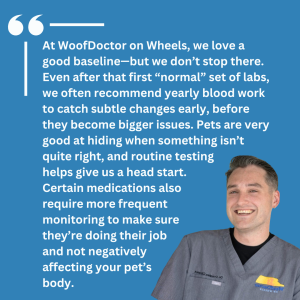 At WoofDoctor on Wheels, we love a good baseline—but we don’t stop there. Even after that first “normal” set of labs, we often recommend yearly blood work to catch subtle changes early, before they become bigger issues. Pets are very good at hiding when something isn’t quite right, and routine testing helps give us a head start. Certain medications also require more frequent monitoring to make sure they’re doing their job and not negatively affecting your pet’s body. 